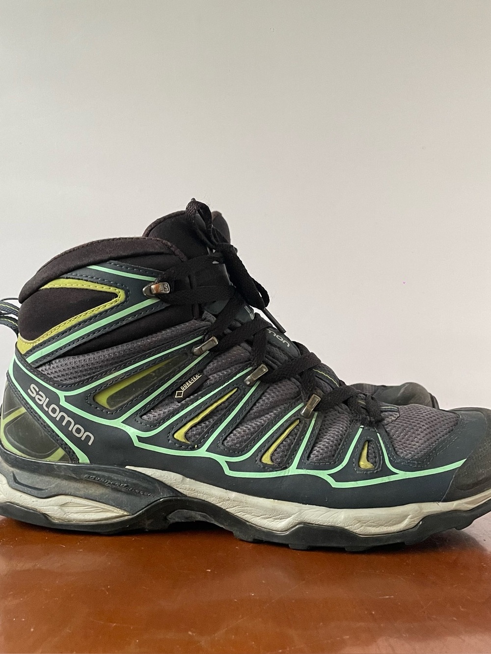 Salomon X Ultra 2 Mid GTX hiking boots | US 10